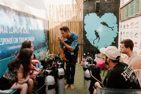 Tayrona National Park: Beginner Diving with Expert Tour Guides Tayrona National Park: Beginner Diving With Expert Tour Guides