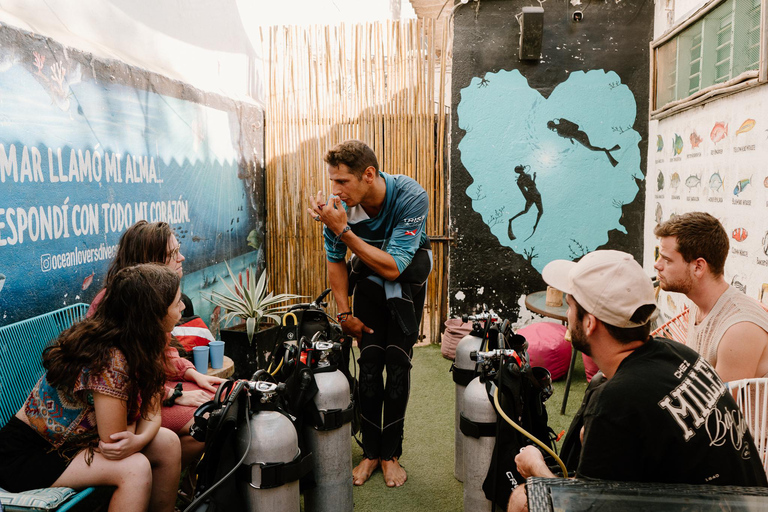 Tayrona National Park: Beginner Diving with Expert Tour Guides Tayrona National Park: Beginner Diving With Expert Tour Guides