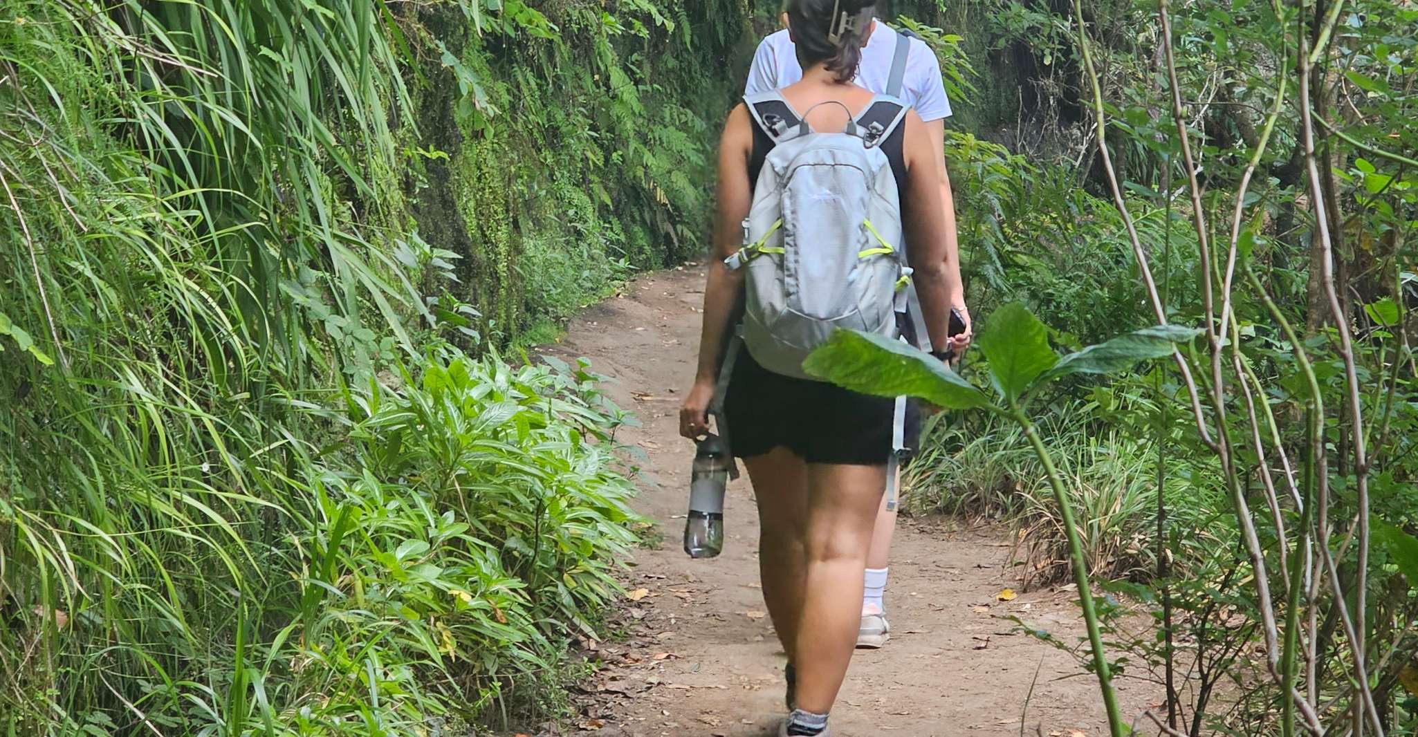 Caldeirão Verde levada Von Overland Madeira - Hizvo