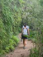 Caldeirão Verde levada Von Overland Madeira - Hizvo