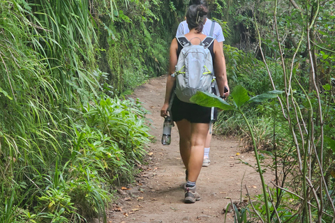 Caldeirão Verde levada By Overland Madeira