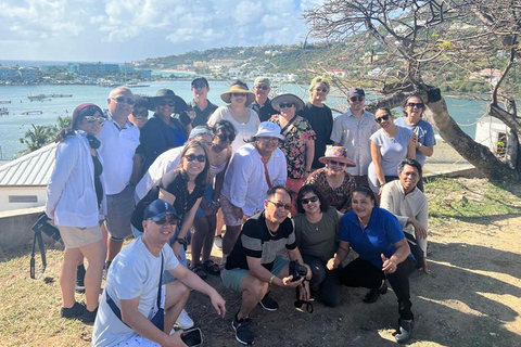 圣马丁岛：圣马丁岛最佳私人观光旅游