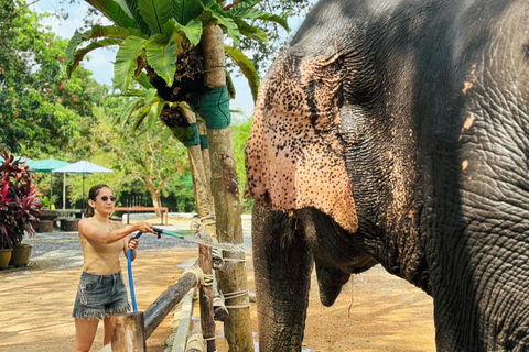 Koh Samui: Ethical Elephant Home Guided Tour with Transfers