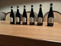 Ontdek de Valpolicella, 3 wijnhuizen, lunch en amarone focus - Housity