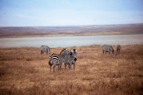 Arusha: 4-Day Mid-Range Safari to Tarangire and Ngorongoro