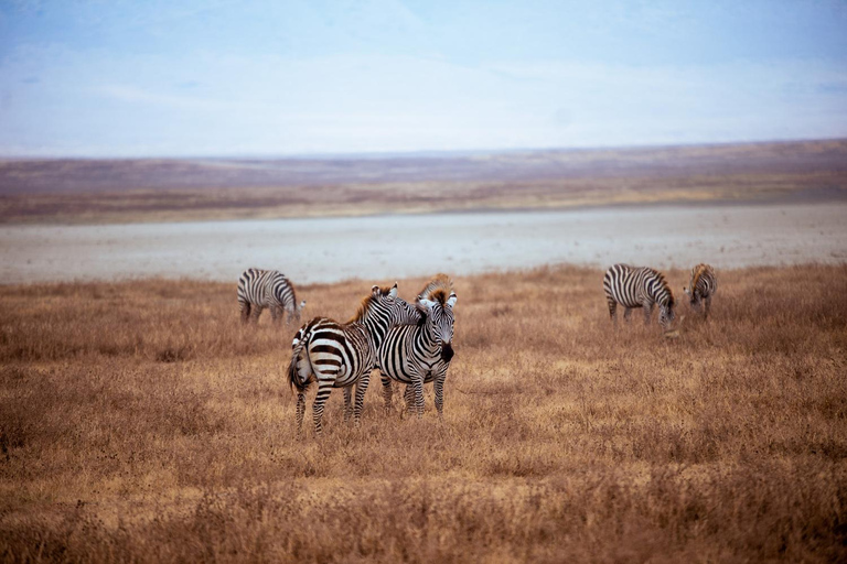 Arusha: 4-Day Mid-Range Safari to Tarangire and Ngorongoro
