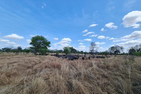 From Zanzibar: Mikumi Day Safari without hotel pickupMikumi Day shared Safari without hotel pickup