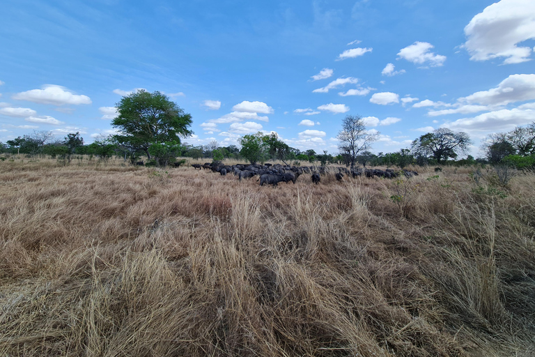 From Zanzibar: Mikumi Day Safari without hotel pickup