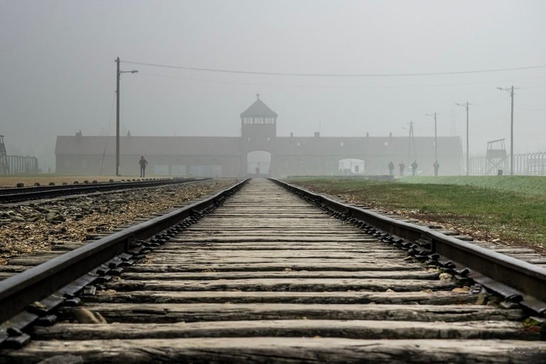 Från Krakow: Auschwitz-Birkenau-tur med transport