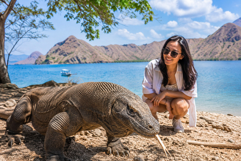 Labuan Bajo: 2 Day Komodo Trip & LoccalCollection Hotel Stay