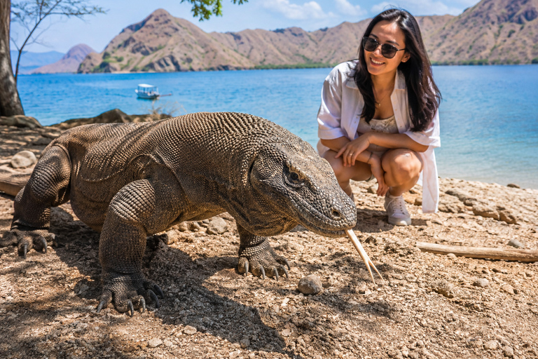Labuan Bajo: 2 Day Komodo Trip & LoccalCollection Hotel Stay