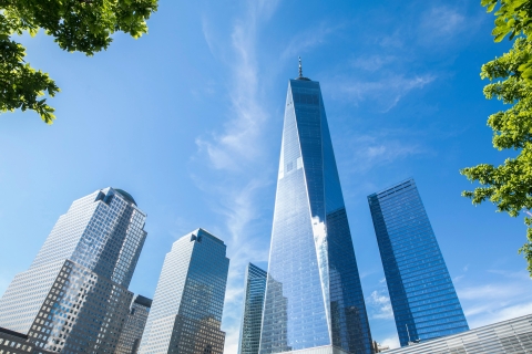 Lower Manhattan Tour: Wall Street & 9/11 MemorialPrivétour