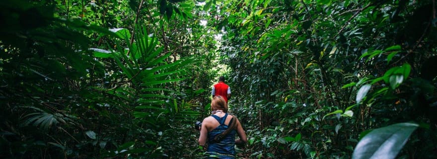 Aventures de randonnée en Dominique