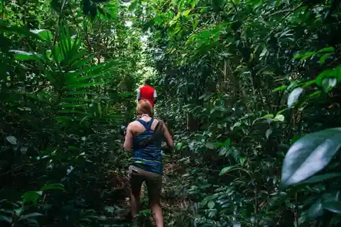 Dominica Hiking Adventures