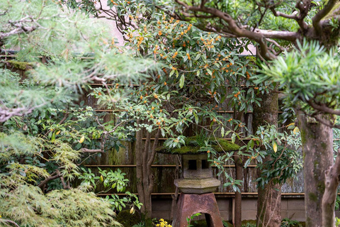 Kanazawa: Samurai and Geisha Culture Walking Tour with Lunch