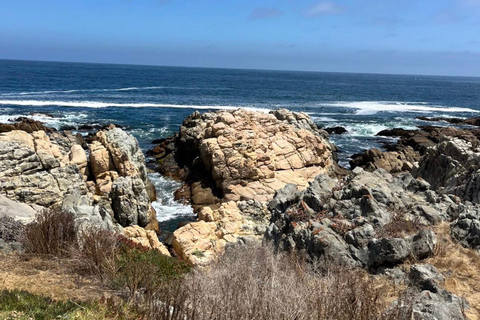 Papudo: Horseback Riding, Penguin Watching, and Sailing