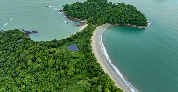Manuel Antonio National Park: Wildlife Guided Tour