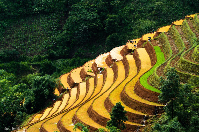 Tour Ha Noi - Mu Cang Chai treckking 3 days 2 nights