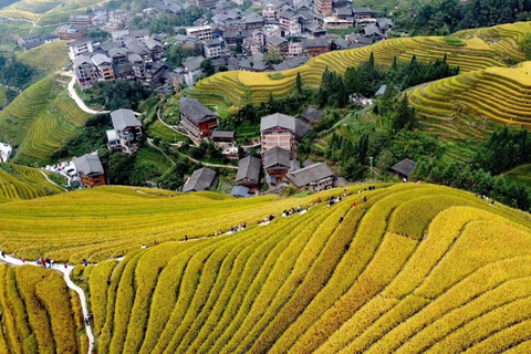 Longji Rice Terraces Private Tour