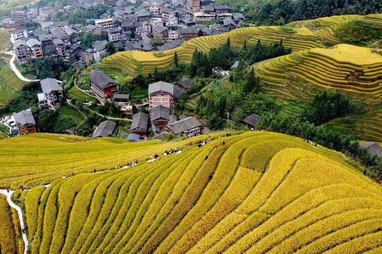 Longji Rice Terraces Private Tour