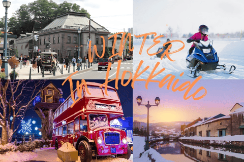 Hokkaido, Sappro, Otaru &amp; Bibai Snowland | Eintägige Tour