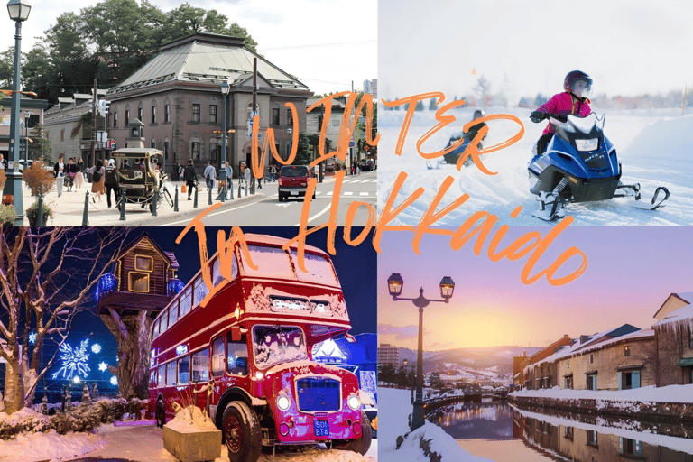 Hokkaido, Sappro, Otaru e Bibai Snowland | Tour di un giorno