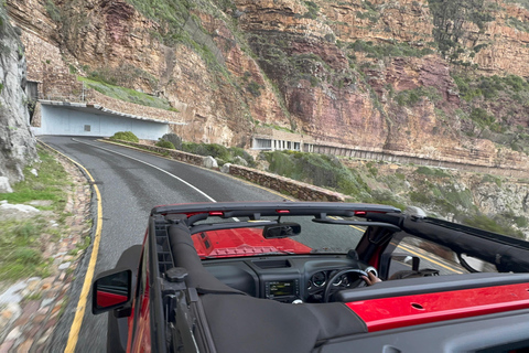 Cape Town: Cape Peninsula Jeep Safari Adventure