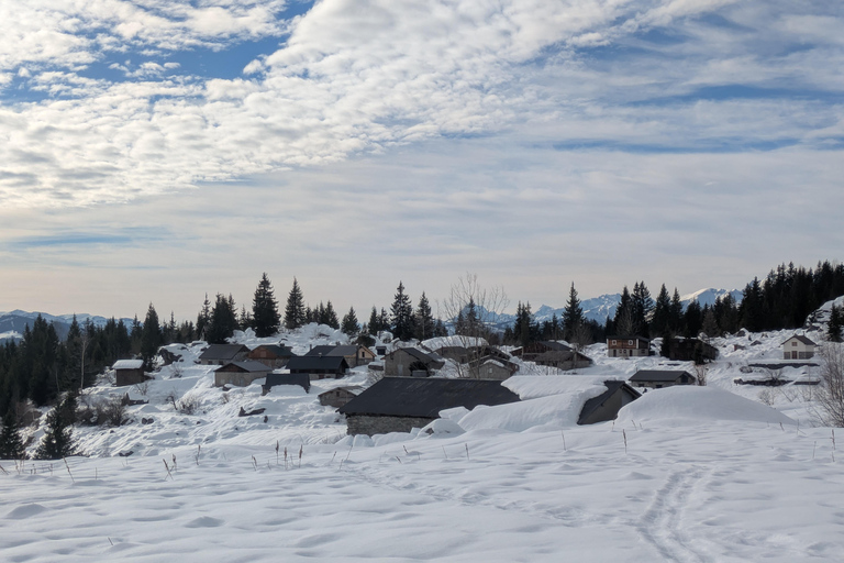 Chamonix: Guided Snowshoeing Tour with Equipment (4 people)