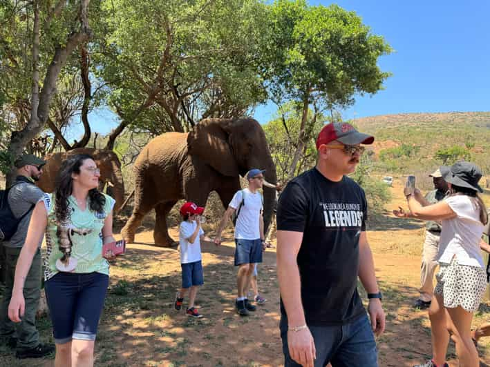 The Elephant Sanctuary - Hartbeespoort, Hartbeespoort - Book Tickets