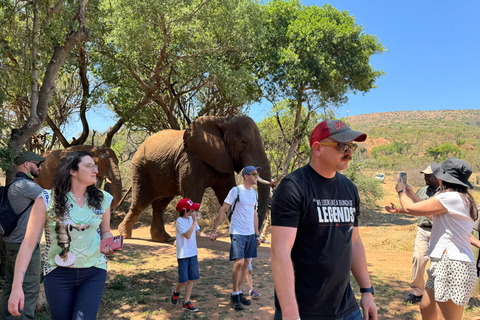 Olifantenopvangtour vanuit Johannesburg