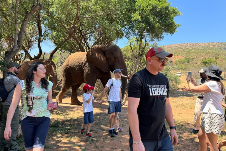 Wycieczka do Sanktuarium Słoni z Johannesburga