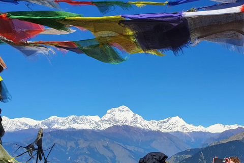 Ghorepani Poonhill Trek