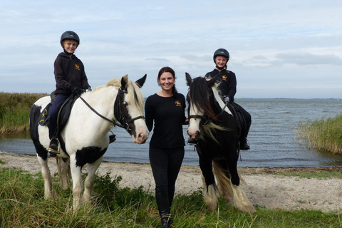 Hirschburg: Horseback riding for beginners