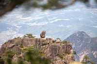 Huangshan: The Essence Route of Huangshan Backside Day Trip - Housity