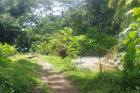 Tobago: Argyle Waterfall Tour with Hotel Pickup