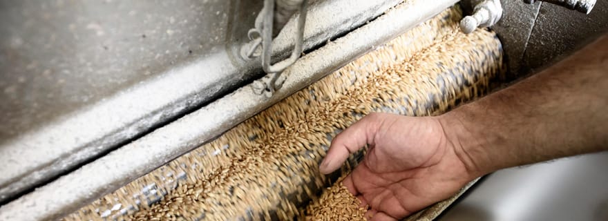 Tradition et goût : visite du moulin historique de Caltagirone