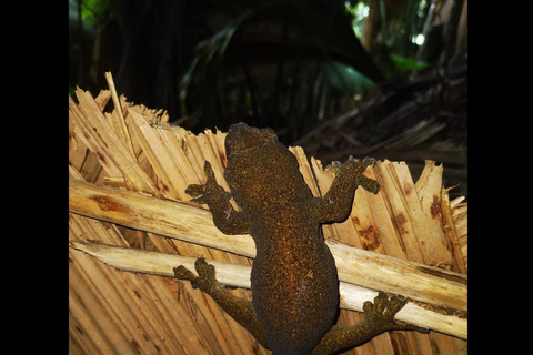 Praslin: Entdecke die Insel mit einem lokalen Guideprivate Tour durch Praslin auf Englisch