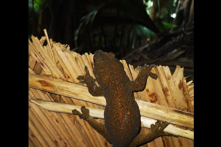 Praslin: Entdecke die Insel mit einem lokalen Guideprivate Tour durch Praslin auf Englisch