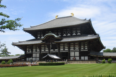 Nara: Budda gigante, cervi liberi nel parco (guía italiana)