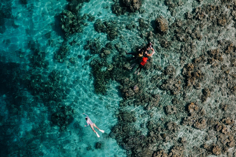 Komodo hele dag Speedboottour vanuit Labuan Bajo