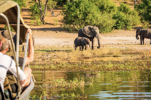 From Zanzibar: 2-Day Selous Safari with Flights & Lodge Stay 2-Day Selous Safari - Without Transfer