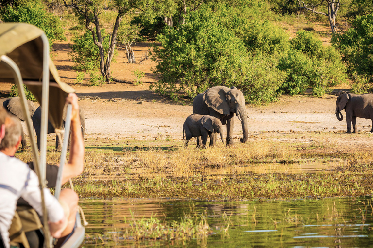 From Zanzibar: 2-Day Selous Safari with Flights & Lodge Stay 2-Day Selous Safari - Without Transfer