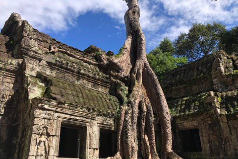 Siem Reap: Angkor Wat Sunrise Private ToursAngkor Wat Sunrise Tours med engelsktalande reseguide