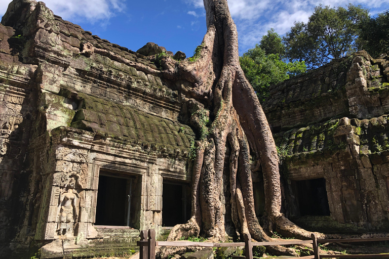 Siem Reap: Angkor Wat Sunrise Private ToursAngkor Wat Sunrise Tours med engelsktalande reseguide