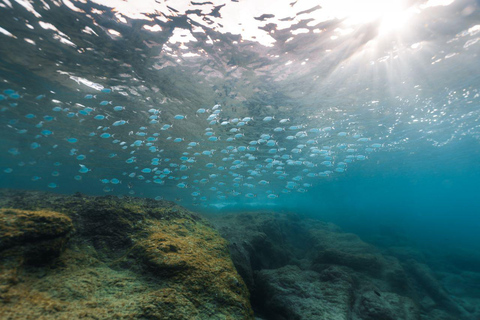 Lanzarote: Tour guiado com snorkel em Papagayo.