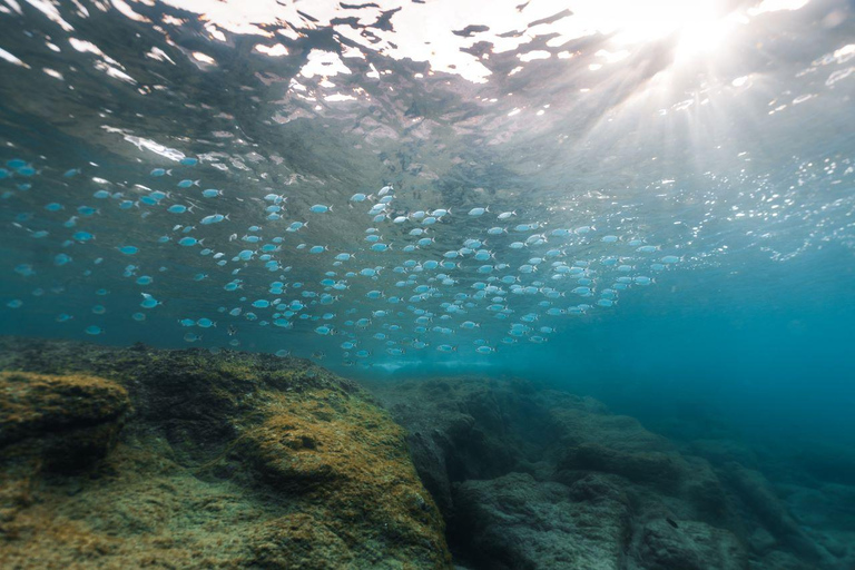 Lanzarote: Guided Snorkel Tour in Los Ajaches Natural Park Guided small-group Snorkeling tour.