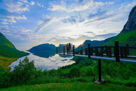 Depuis Tromsø : Excursion à Senja