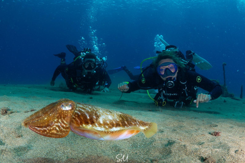 Your first introductory dive in Lanzarote with FREE photos. Your first diving baptism in Lanzarote with FREE photos