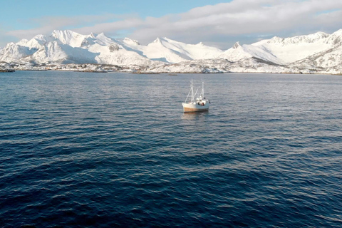 Svolvær: Fisketur på Lofoten