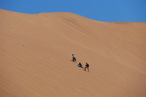 Tour privado por lo más destacado de Walvis Bay